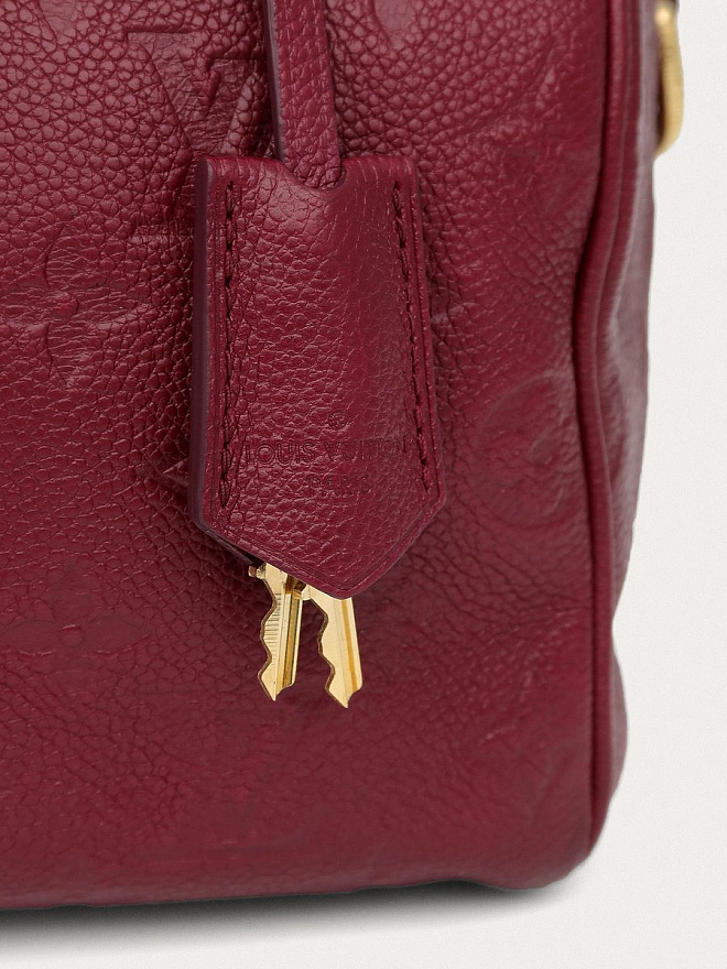 Сумка Louis Vuitton Speedy 25