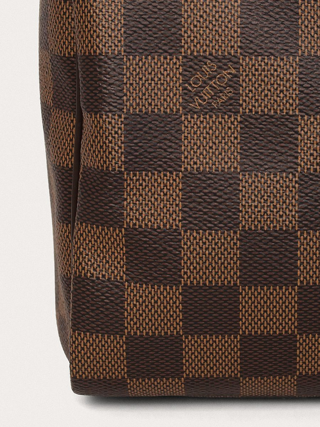 Сумка Louis Vuitton Speedy 25