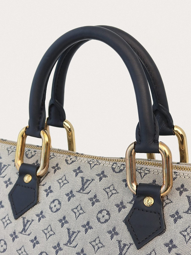 Сумка Louis Vuitton Lin Alma Long