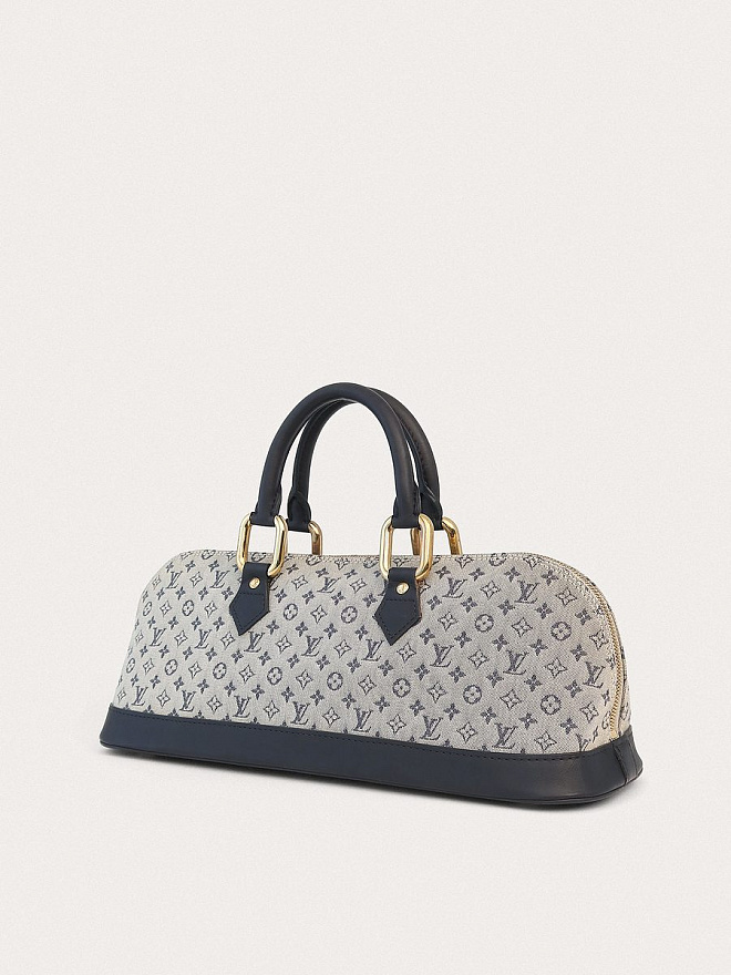 Сумка Louis Vuitton Lin Alma Long