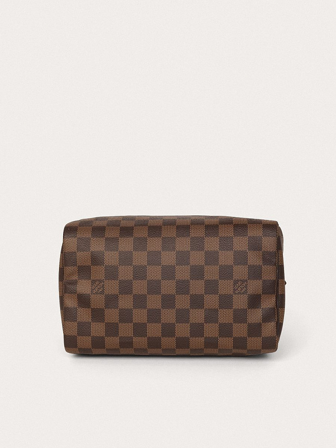 Сумка Louis Vuitton Speedy 25
