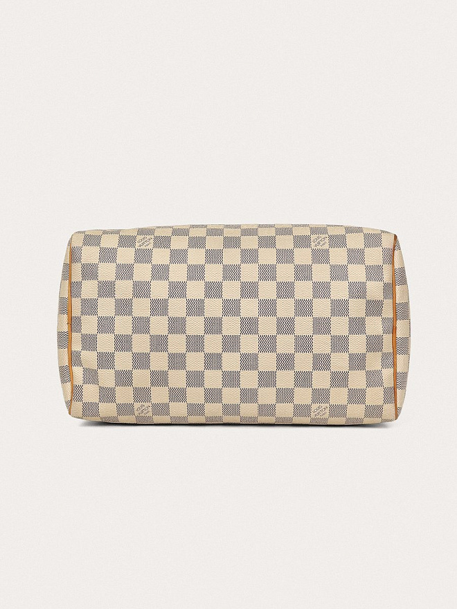 Сумка Louis Vuitton Speedy 30