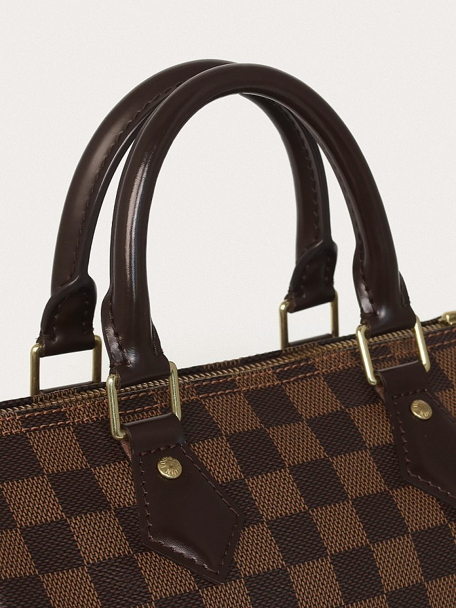 Сумка Louis Vuitton Speedy 25