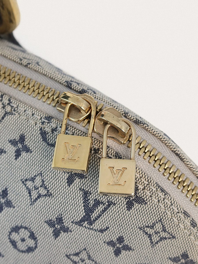 Сумка Louis Vuitton Lin Alma Long
