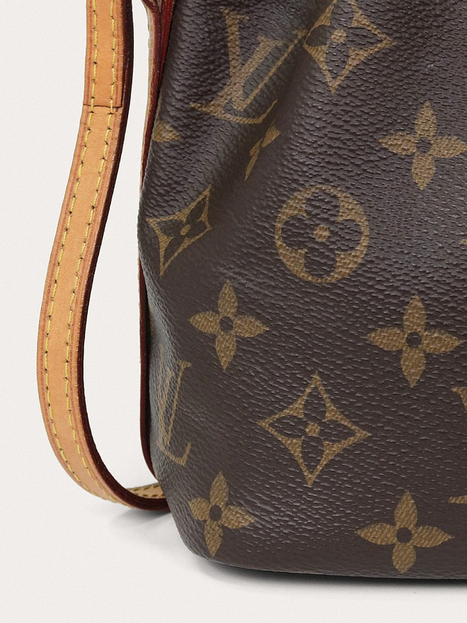 Сумка Louis Vuitton Nano Noe