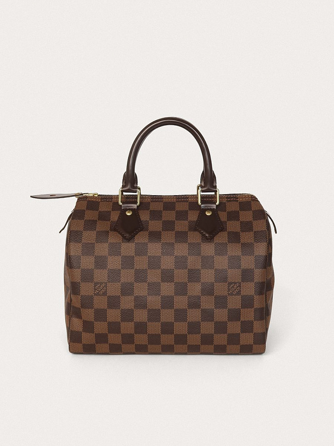 Сумка Louis Vuitton Speedy 25