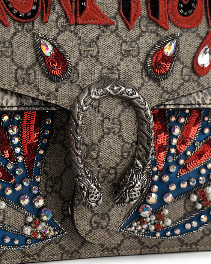 Сумка Gucci Dionysus Magnetismo