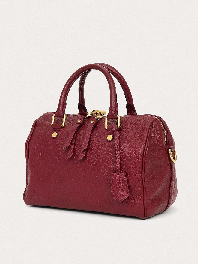 Сумка Louis Vuitton Speedy 25