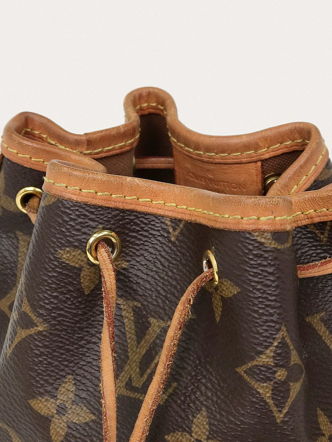 Сумка Louis Vuitton Nano Noe