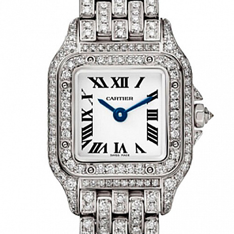 Часы Cartier Panthère de Cartier Medium 27x37 WSPN0015 Fix