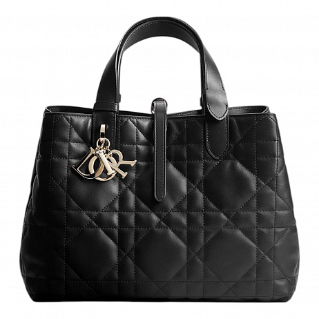 Сумка Christian Dior Toujours Medium