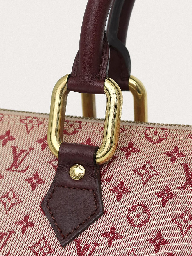 Сумка Louis Vuitton Lin Alma Long