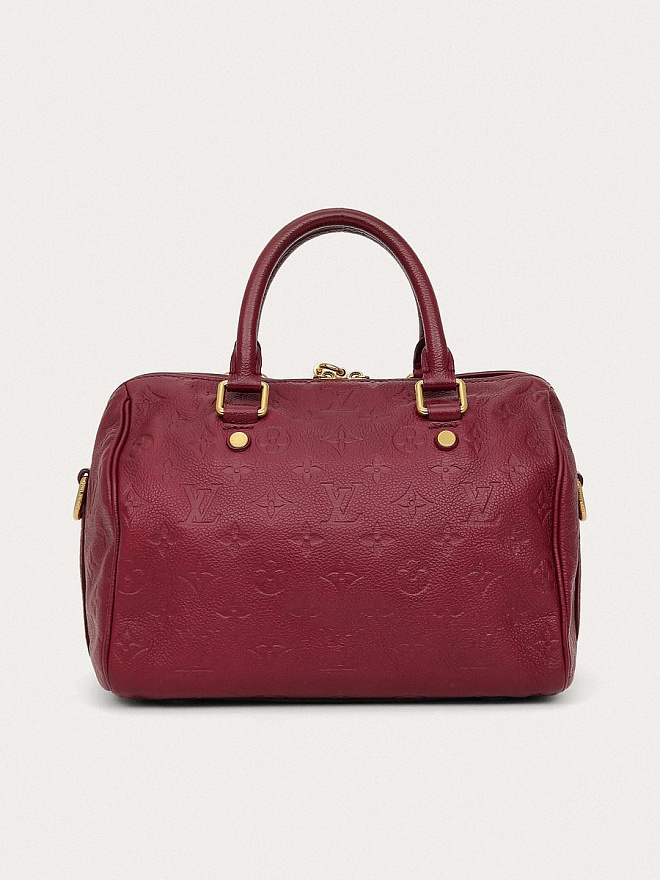 Сумка Louis Vuitton Speedy 25