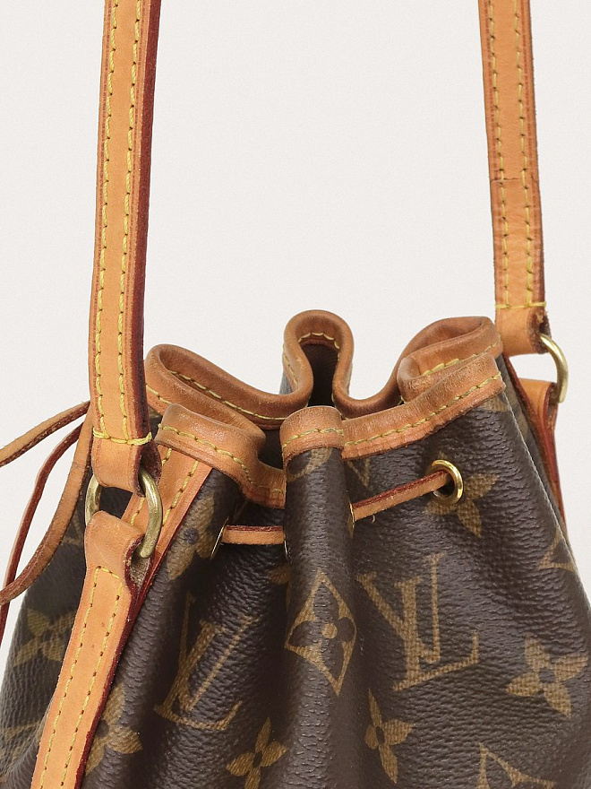 Сумка Louis Vuitton Nano Noe