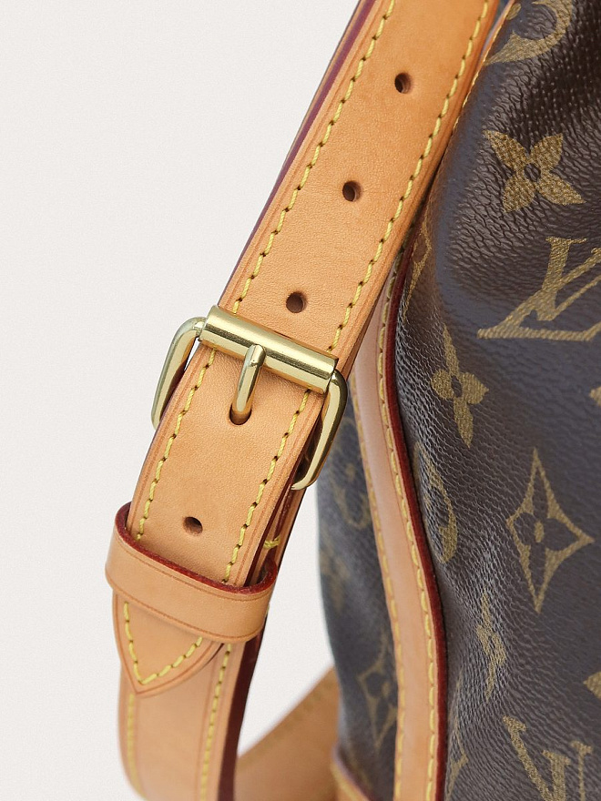 Сумка Louis Vuitton Noe Petit