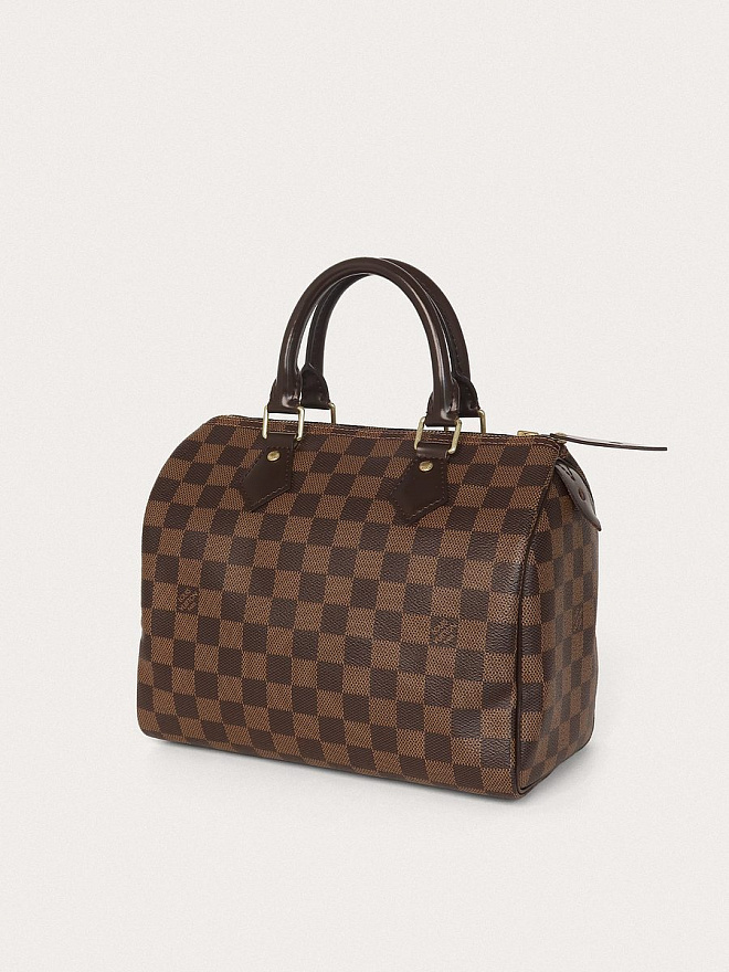 Сумка Louis Vuitton Speedy 25