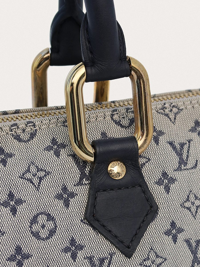 Сумка Louis Vuitton Lin Alma Long