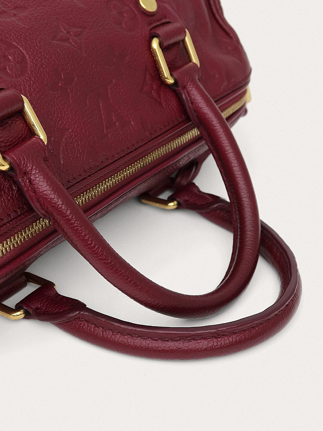 Сумка Louis Vuitton Speedy 25