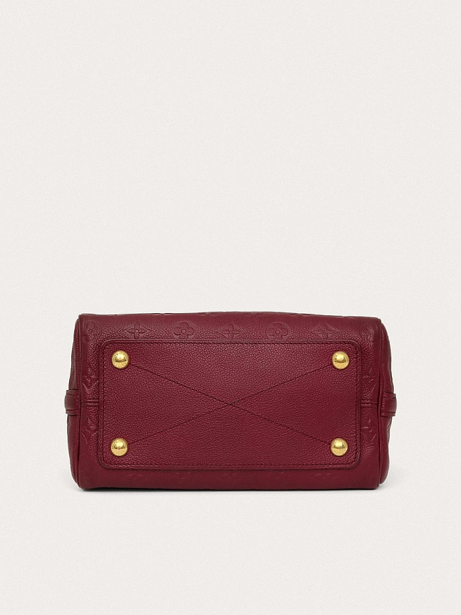 Сумка Louis Vuitton Speedy 25