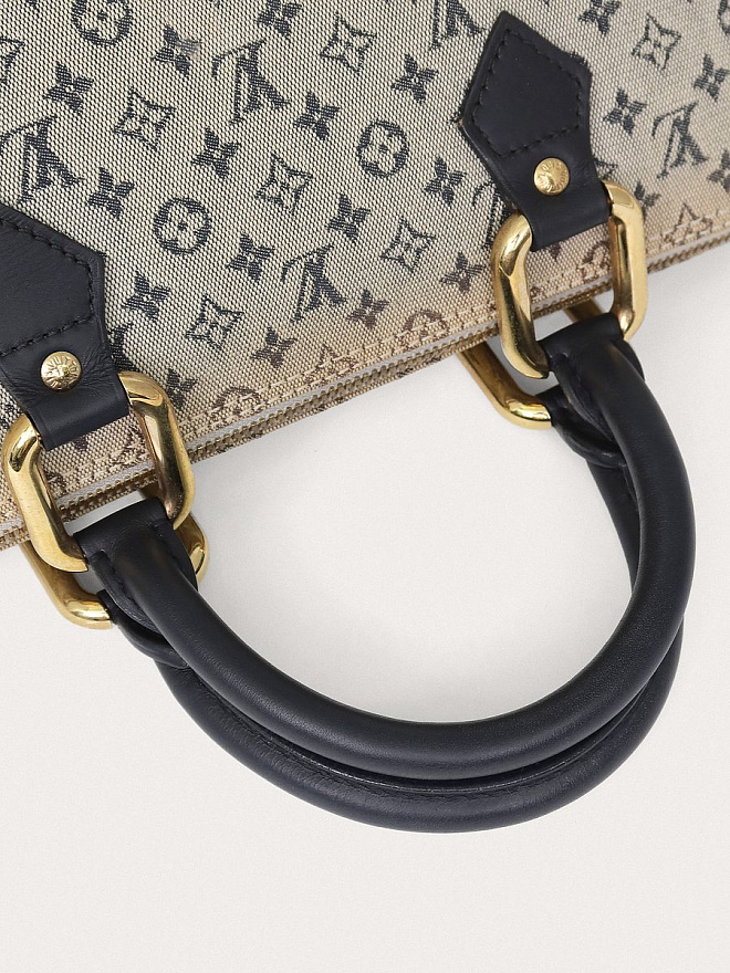 Сумка Louis Vuitton Lin Alma Long