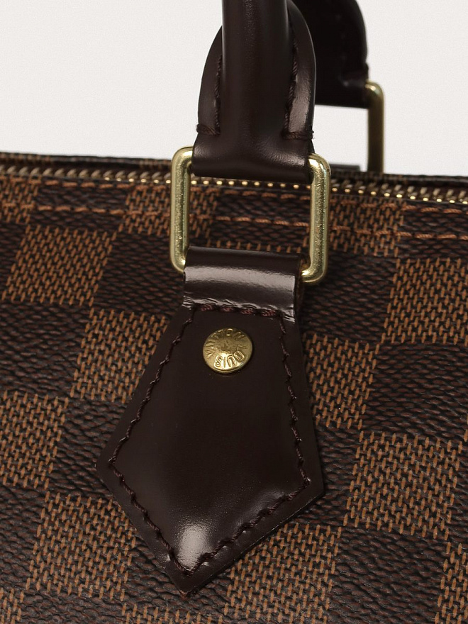 Сумка Louis Vuitton Speedy 25