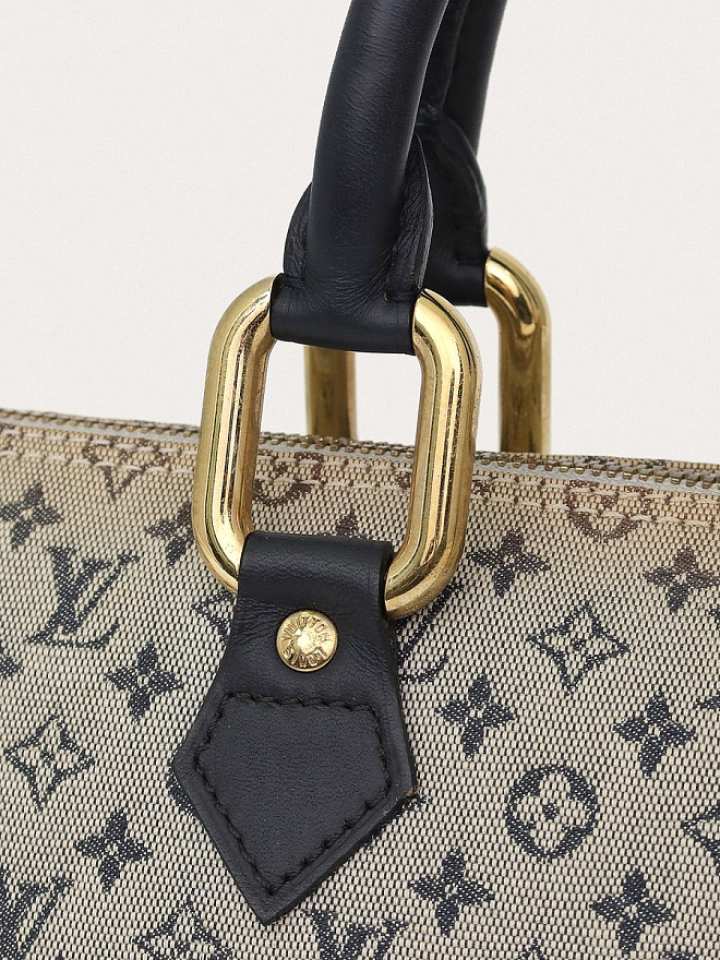 Сумка Louis Vuitton Lin Alma Long