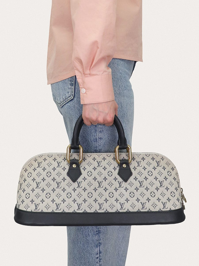 Сумка Louis Vuitton Lin Alma Long